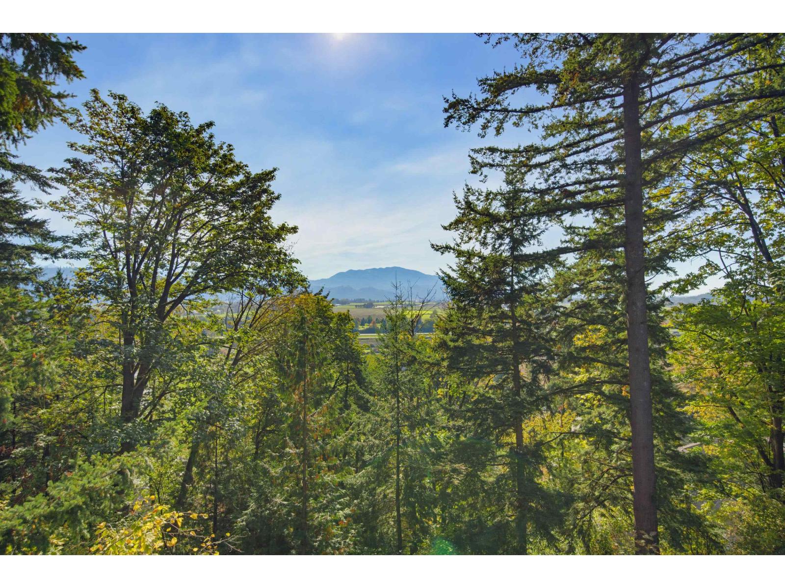 Photo of 35746 TIMBERLANE DRIVE 15