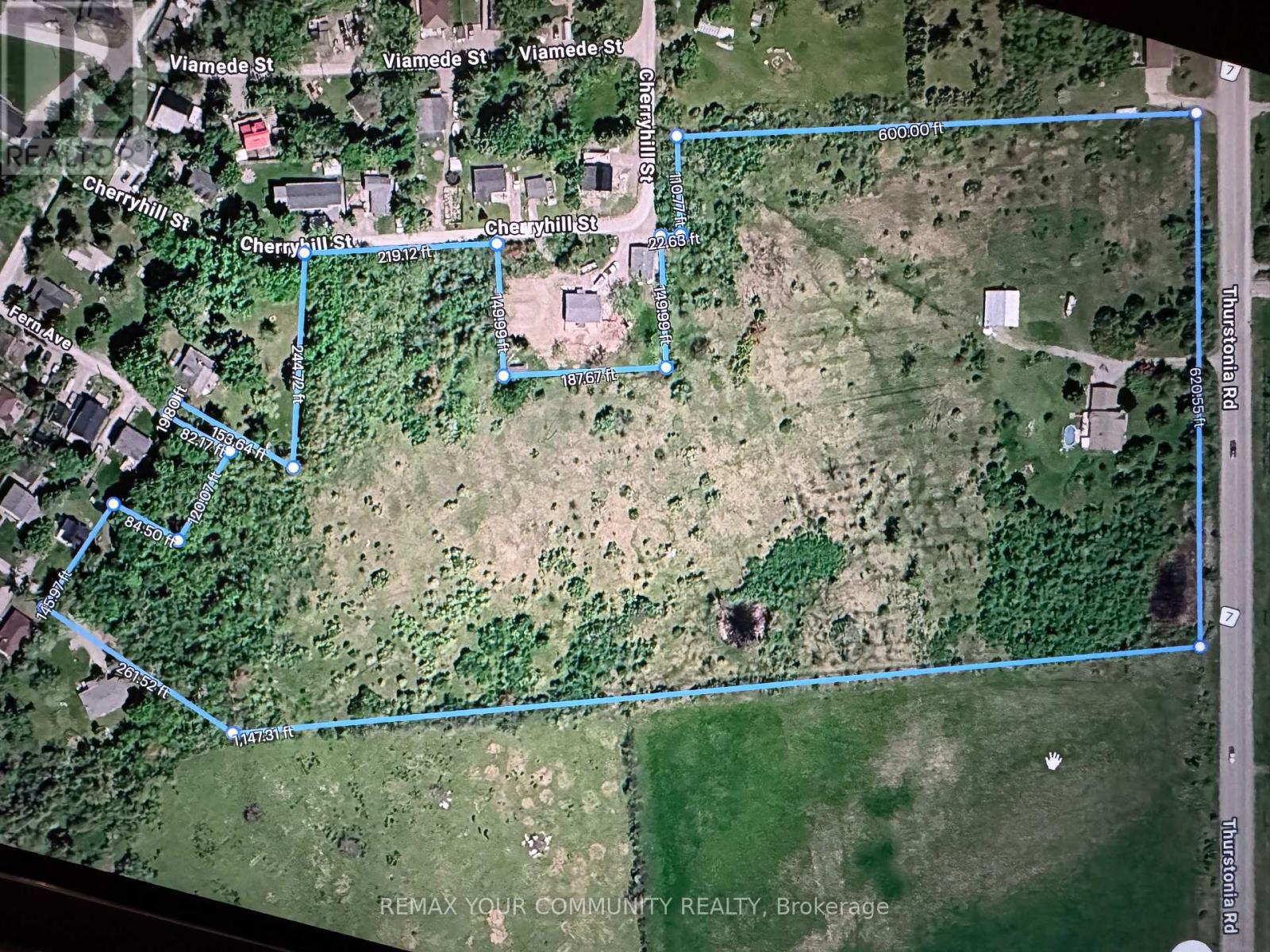 2269 Thurstonia Road, Kawartha Lakes, ON photo 27