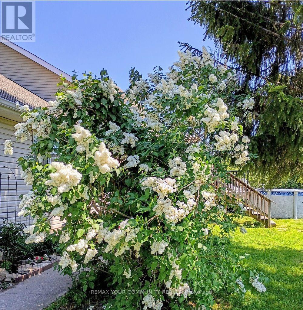 2269 Thurstonia Road, Kawartha Lakes, ON photo 3