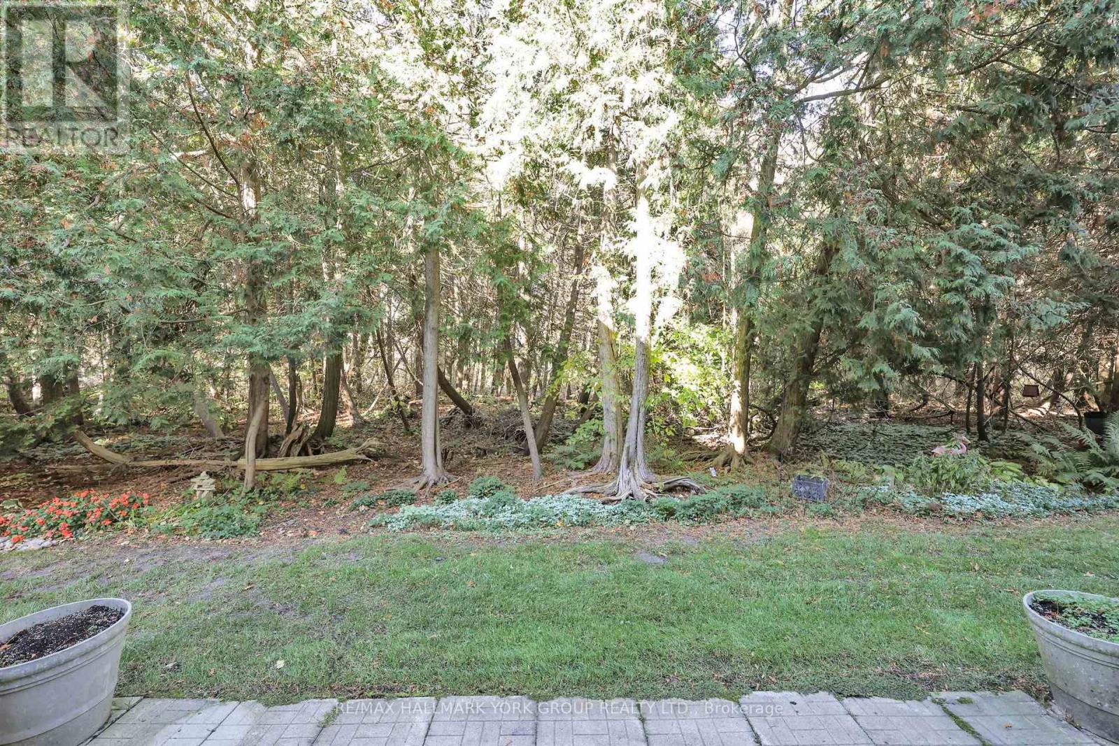 923 Creekfront Way, Newmarket, ON photo 16