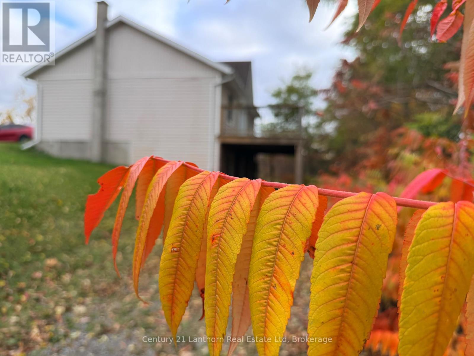 656A COOPER ROAD, photo 4