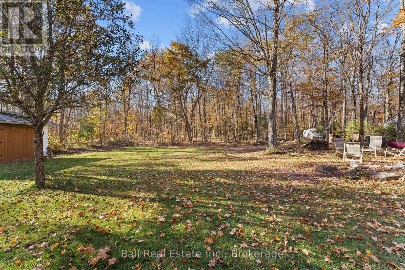 93 Northern Avenue, Trent Lakes, ON photo 37