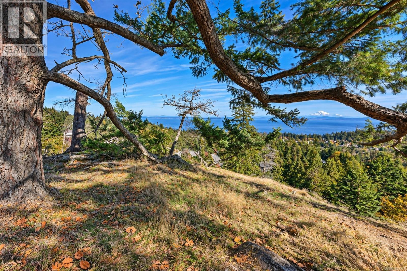 #10 942 Boulderwood Rise - 44
