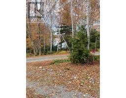 31 Lakefield Drive, Mount Uniacke, NS B0N1Z0 Photo 19