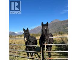 13226 Highway 31, Meadow Creek, BC V0G1N0 Photo 26