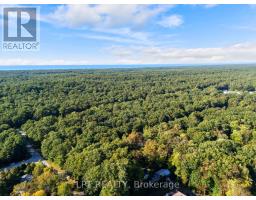 10012 Graham Street, Lambton Shores, ON N0M1T0 Photo 48