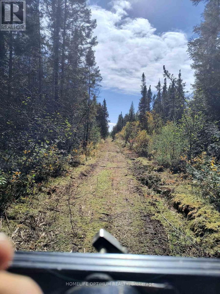 PCL 21518A Nelles, Rainy River Remote Area, ON photo 10
