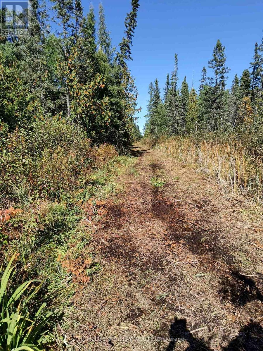 PCL 21518A Nelles, Rainy River Remote Area, ON photo 13