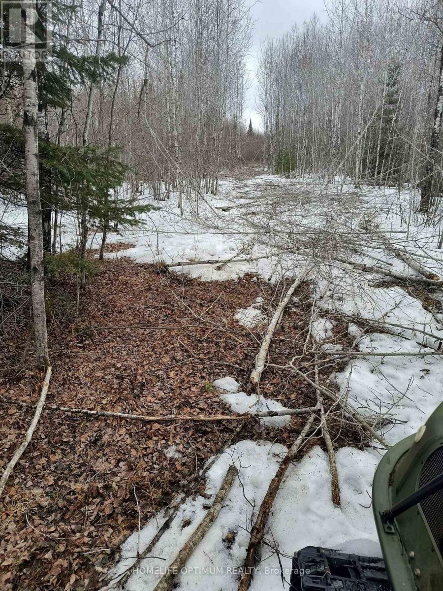 PCL 21518A Nelles, Rainy River Remote Area, ON photo 18