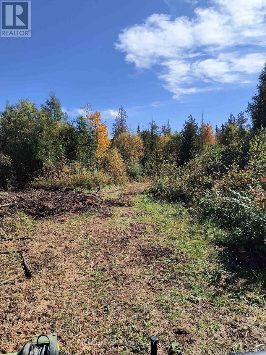 PCL 21518A Nelles, Rainy River Remote Area, ON photo 8