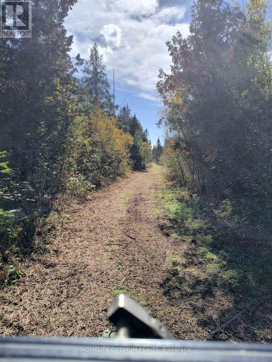 PCL 21518A Nelles, Rainy River Remote Area, ON photo 9