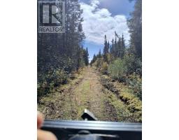 Pcl 21518a Nelles, Rainy River Remote Area, ON P0W1M0 Photo 10