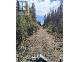 Pcl 21518a Nelles, Rainy River Remote Area, ON P0W1M0 Photo 12