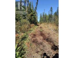 Pcl 21518a Nelles, Rainy River Remote Area, ON P0W1M0 Photo 13