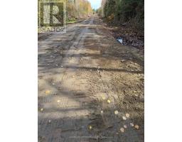 Pcl 21518a Nelles, Rainy River Remote Area, ON P0W1M0 Photo 14