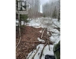 Pcl 21518a Nelles, Rainy River Remote Area, ON P0W1M0 Photo 17