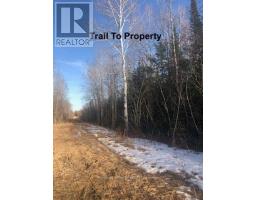 Pcl 21518a Nelles, Rainy River Remote Area, ON P0W1M0 Photo 6