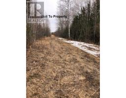 Pcl 21518a Nelles, Rainy River Remote Area, ON P0W1M0 Photo 7