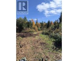 Pcl 21518a Nelles, Rainy River Remote Area, ON P0W1M0 Photo 8