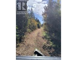Pcl 21518a Nelles, Rainy River Remote Area, ON P0W1M0 Photo 9