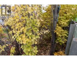 151 Bow Ridge Crescent, Cochrane, AB T4C1V2 Photo 37
