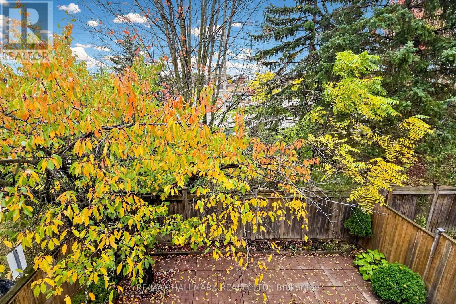 1- 351 Riddell Court, Newmarket, ON photo 34