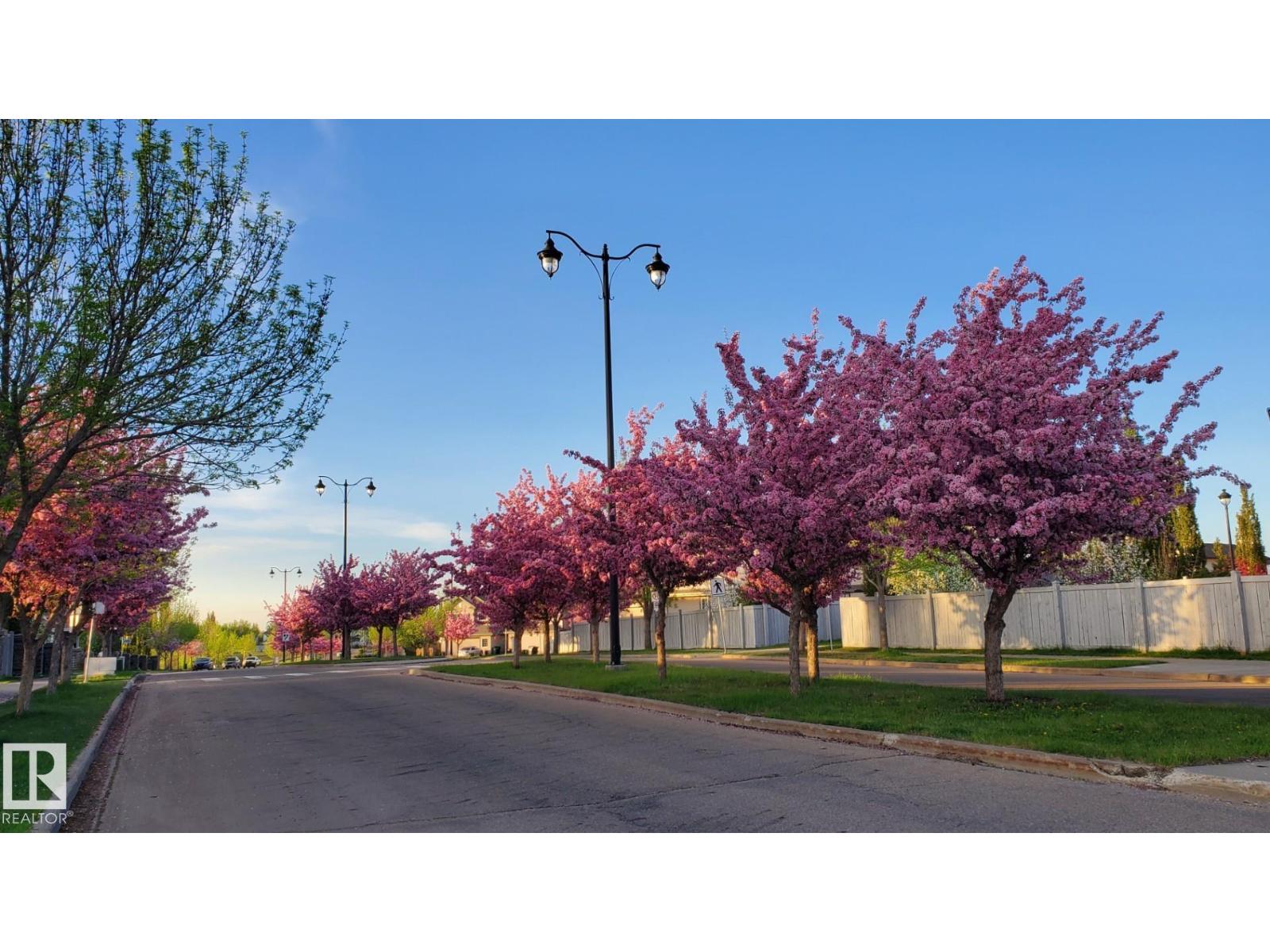 Property photograph 60 for MLS E4510543