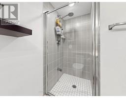 1009 - 219 Fort York Boulevard, Toronto, ON M5V1B1 Photo 20