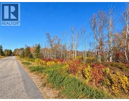 / rue Omer, photo 2