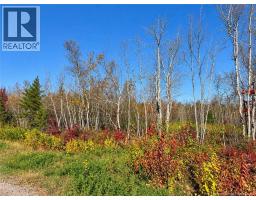 / rue Omer, photo 4