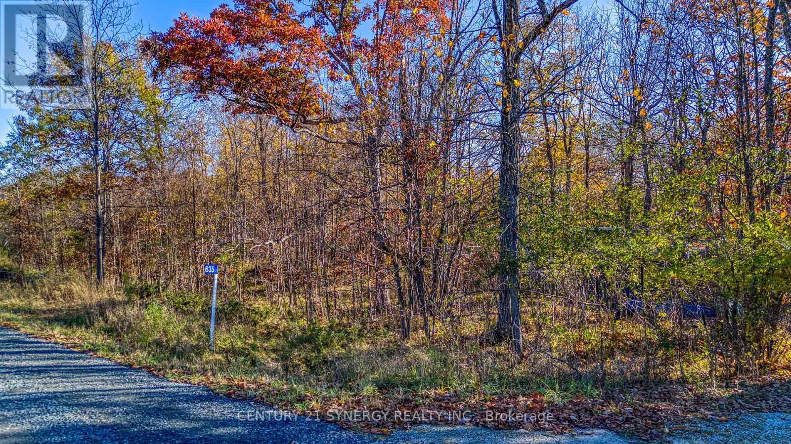 635 Miner's Point Rd, Rr3 photo 2