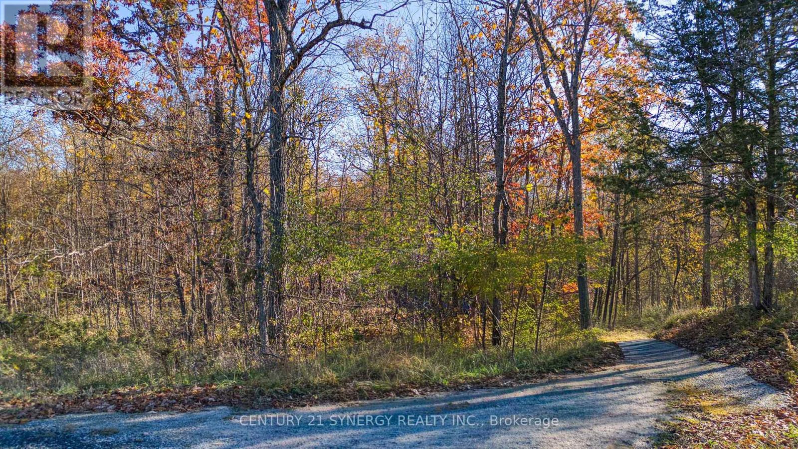 635 Miner's Point Rd, Rr3 photo 3