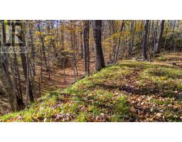 635 Miner's Point Rd, Rr3 Road, Tay Valley, ON K7H3C5 Photo 17