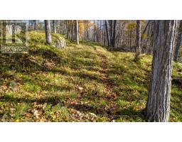 635 Miner's Point Rd, Rr3 Road, Tay Valley, ON K7H3C5 Photo 18