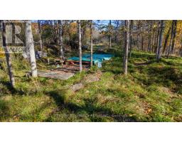 635 Miner's Point Rd, Rr3 Road, Tay Valley, ON K7H3C5 Photo 20