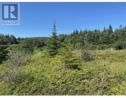 0 Dunphys Hill thumbnail 40