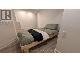 Lower - 231 Havelock Street, Toronto, ON M6H3B8 Photo 10