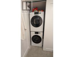 Lower - 231 Havelock Street, Toronto, ON M6H3B8 Photo 13