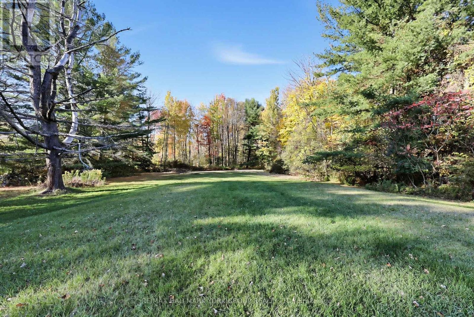 450 Queensville Sideroad West, East Gwillimbury, ON photo 3