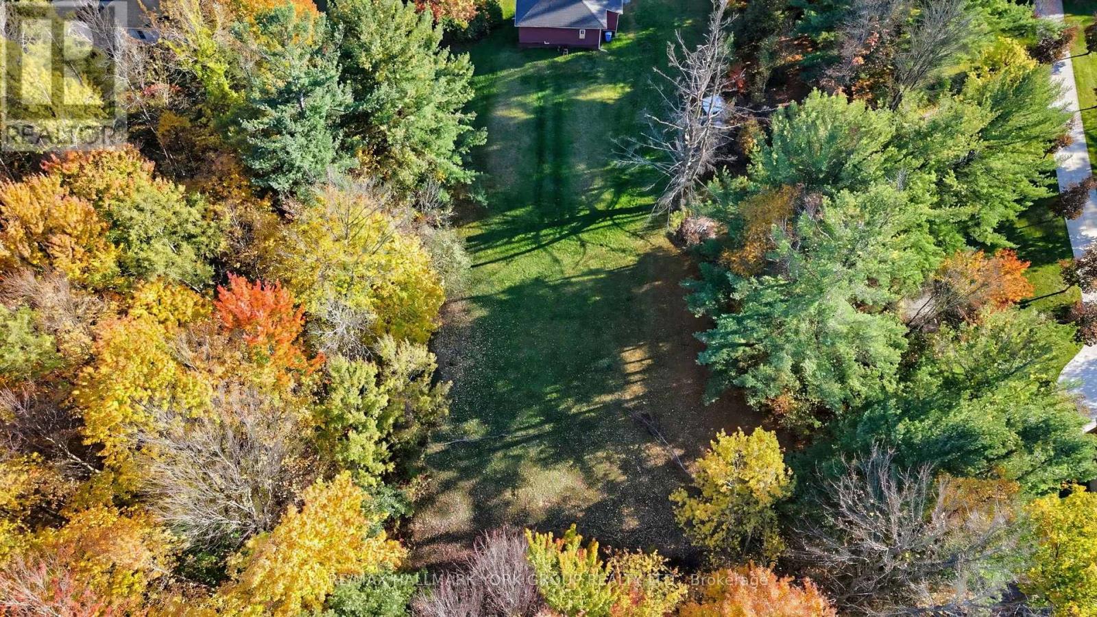 450 Queensville Sideroad West, East Gwillimbury, ON photo 5