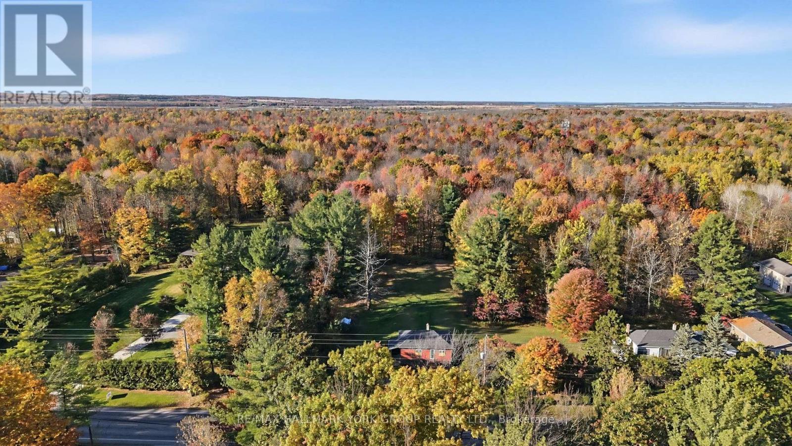 450 Queensville Sideroad West, East Gwillimbury, ON photo 6