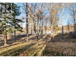 7132 Bow Crescent Nw, Calgary, AB T3B2B9 Photo 32