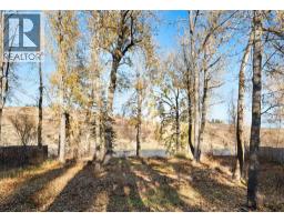 7132 Bow Crescent Nw, Calgary, AB T3B2B9 Photo 33
