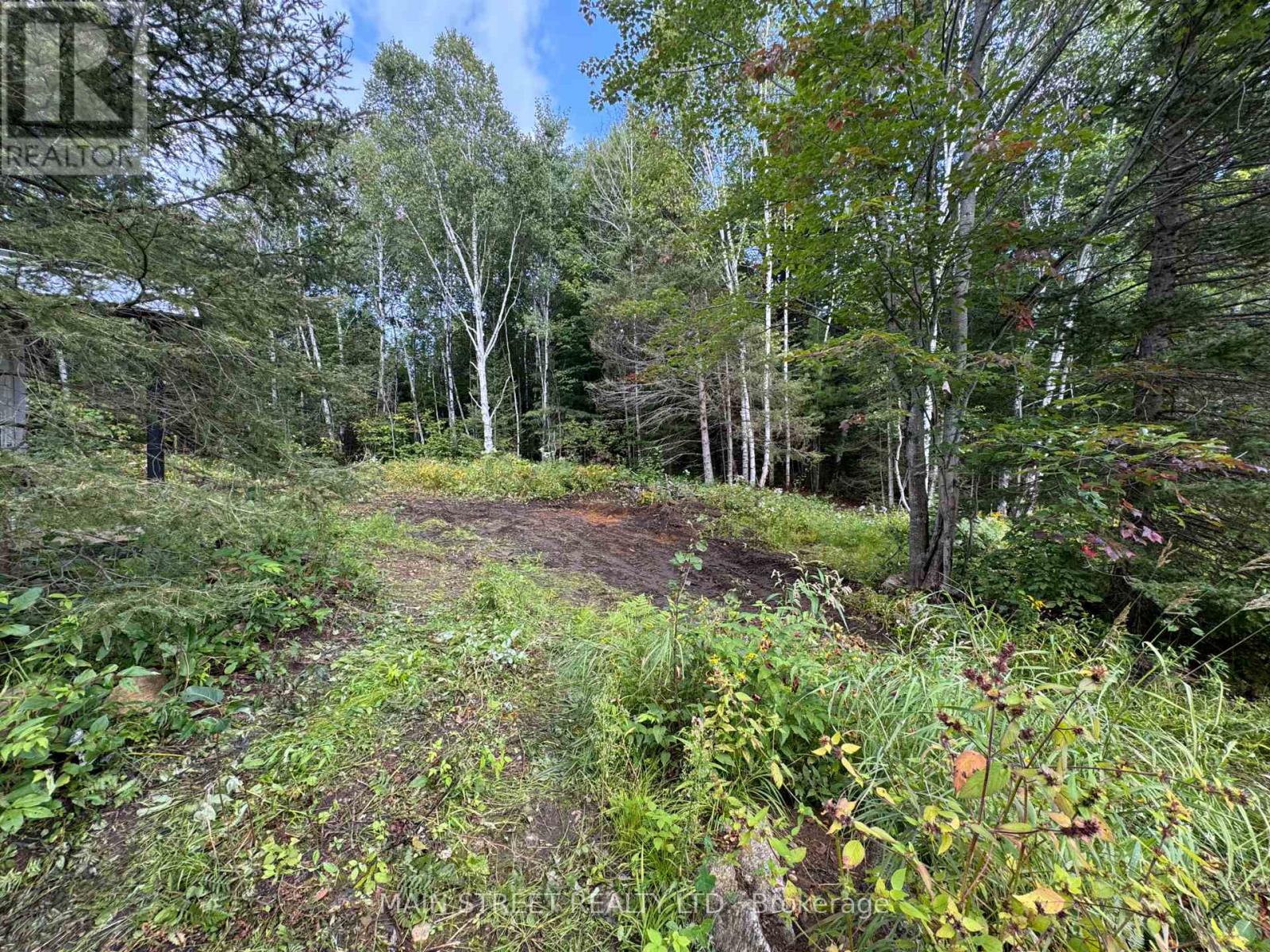 2591 Papineau Road, Papineau-Cameron, ON photo 11