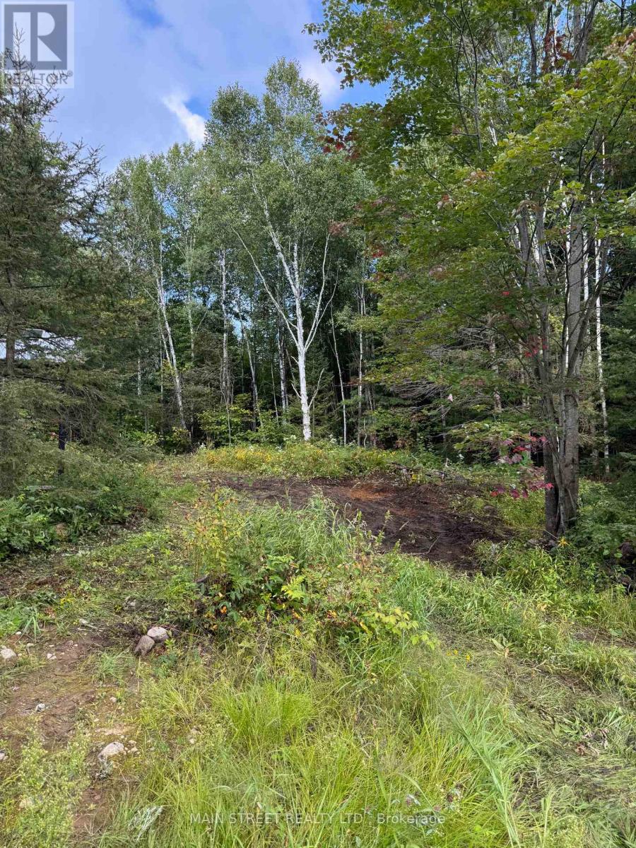 2591 Papineau Road, Papineau-Cameron, ON photo 8