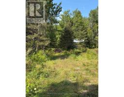 2591 Papineau Road, Papineau Cameron, ON P0H1V0 Photo 10