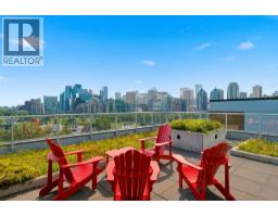 506, 235 9a Street Nw, Calgary, AB T2N4H7 Photo 29