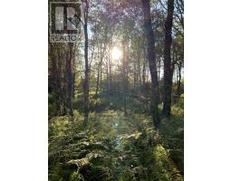 Block 1 No 316 Highway, Country Harbour, NS B0H1J0 Photo 18