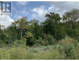 Block 1 No 316 Highway, Country Harbour, NS B0H1J0 Photo 13