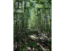 Block 1 No 316 Highway, Country Harbour, NS B0H1J0 Photo 11
